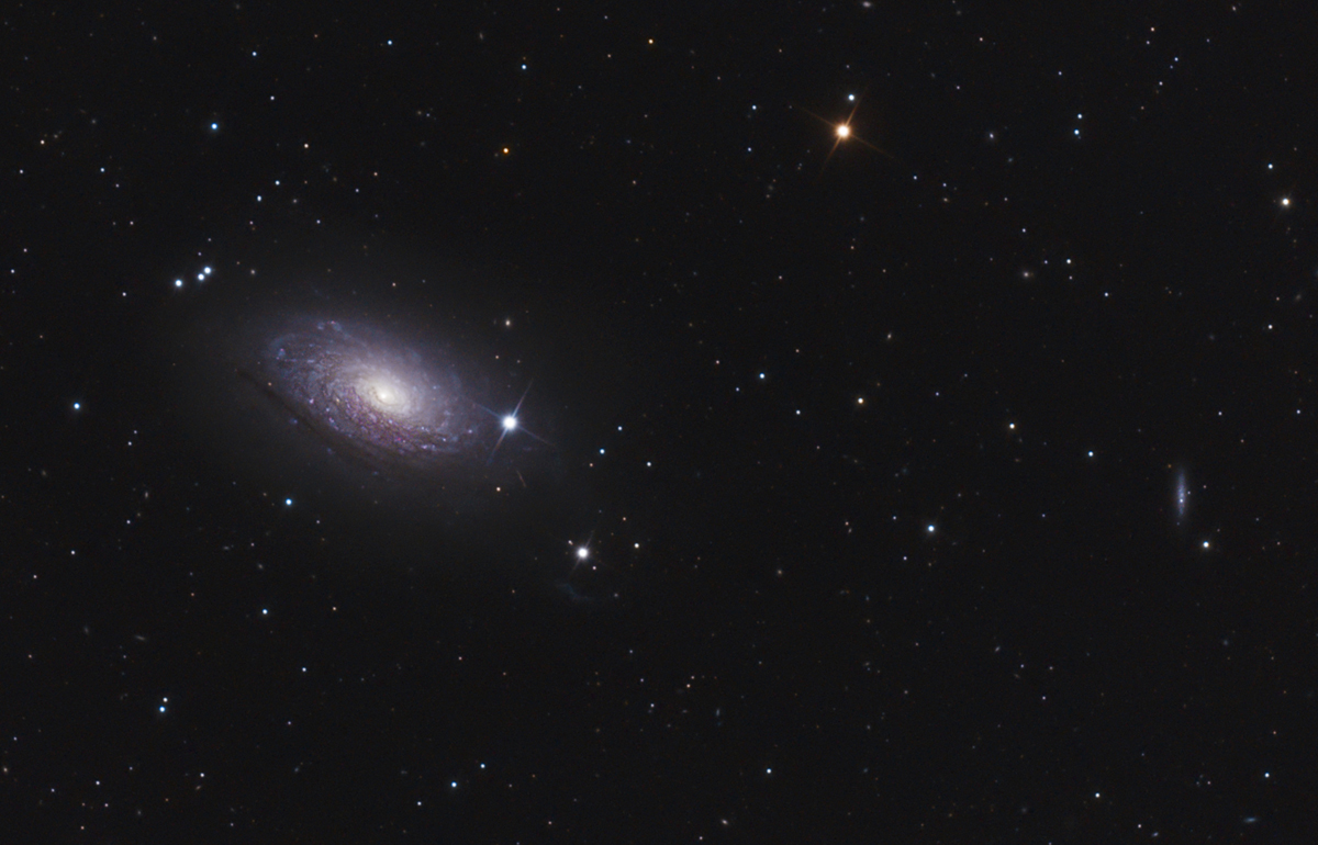 M63, la galaxie du Tournesol
